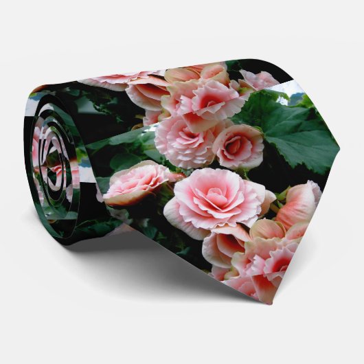 Roze bloeiende Begonia Stropdas (Opgerold)