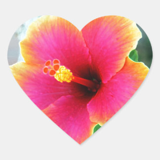 Roze Bloeiende Bloemen Ranken Persoonlijk Maken Hart Sticker