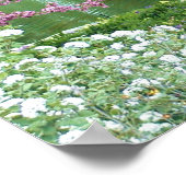 Roze bloeiende boom boven water poster (Hoek)