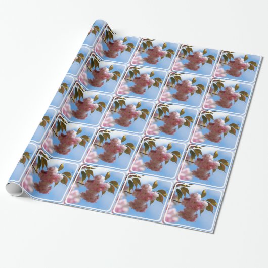 Roze bloeiende Cherry-boom Cadeaupapier (Uitgerold)