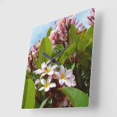 roze bloeiende Frangipani-boom, Vierkante Klok (Hoek)