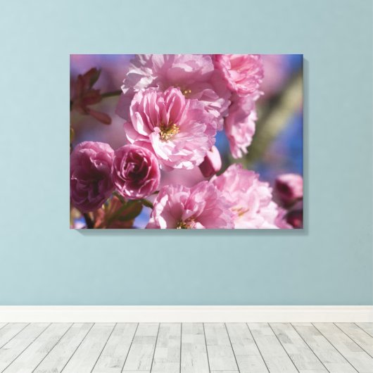 Roze bloeiende Japanse kersenbloesems Wall Art Canvas Afdruk (Insitu (Houten vloer))