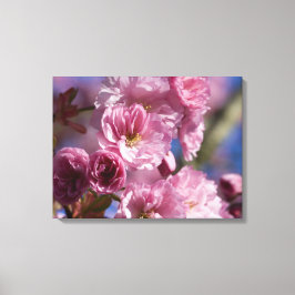 Roze bloeiende Japanse kersenbloesems Wall Art Canvas Afdruk