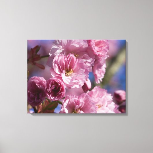 Roze bloeiende Japanse kersenbloesems Wall Art Canvas Afdruk (Voorkant)