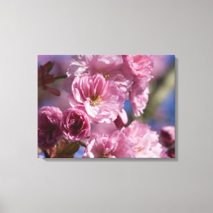 Roze bloeiende Japanse kersenbloesems Wall Art Canvas Afdruk