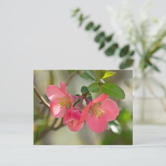 Roze bloeiende kweepgloed briefkaart (Staand voorkant)