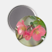 Roze bloeiende kweepgloed magneet (Voorkant / Achterkant)
