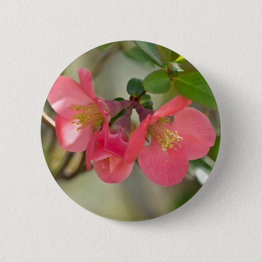 Roze bloeiende kweepgloed ronde button 5,7 cm (Voorkant)
