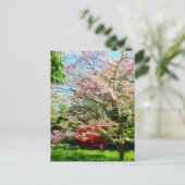 Roze bloeiende oghout briefkaart (Staand voorkant)