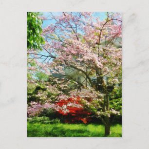 Roze bloeiende oghout briefkaart