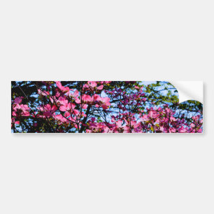Roze bloeiende oghoutboom bumpersticker