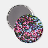 Roze bloeiende oghoutboom magneet (Voorkant / Achterkant)