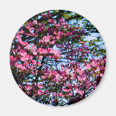 Roze bloeiende oghoutboom magneet (Voorkant)