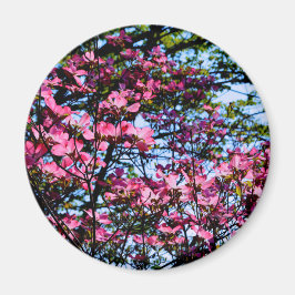 Roze bloeiende oghoutboom magneet