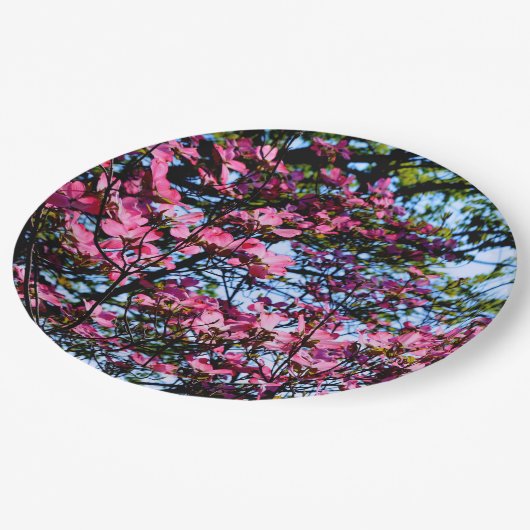 Roze bloeiende oghoutboom papieren bordje (Gekanteld)