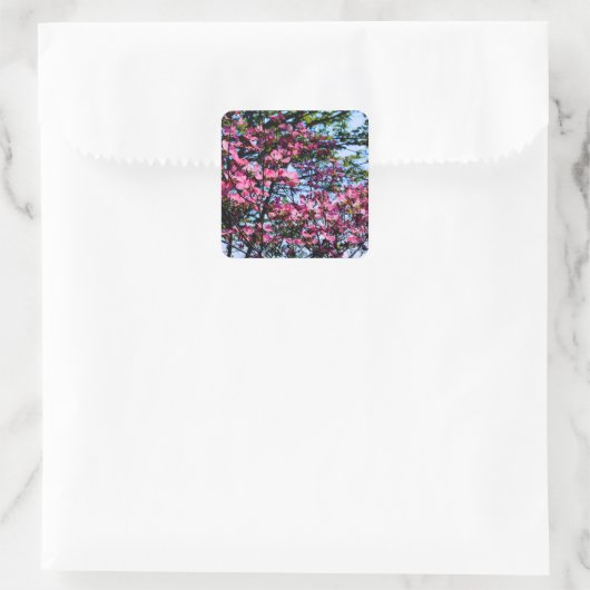 Roze bloeiende oghoutboom vierkante sticker (Tas)