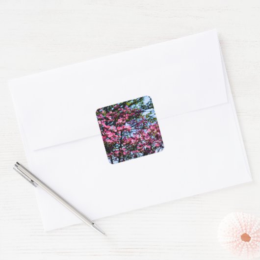 Roze bloeiende oghoutboom vierkante sticker (Envelop)