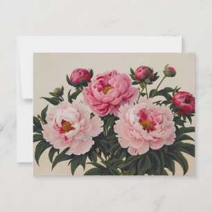 Roze Bloeiende Pioen Bloemen Boeket Briefkaart