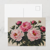 Roze bloeiende pioen bloemenboeket  briefkaart (Voorkant / Achterkant)