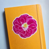 Roze Bloeiende Roos Botanische Kunst Sticker