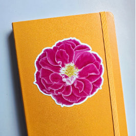 Roze Bloeiende Roos Botanische Kunst Sticker