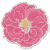 Roze Bloeiende Roos Botanische Kunst Sticker (Voorkant)