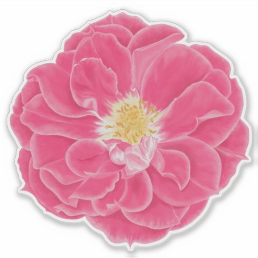 Roze Bloeiende Roos Botanische Kunst Sticker (Voorkant)
