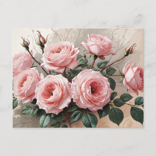 Roze Bloeiende Rozen  Briefkaart (Voorkant)