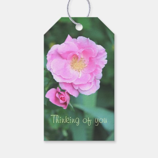  roze bloeiende Rozen Cadeaulabel (Voorkant)