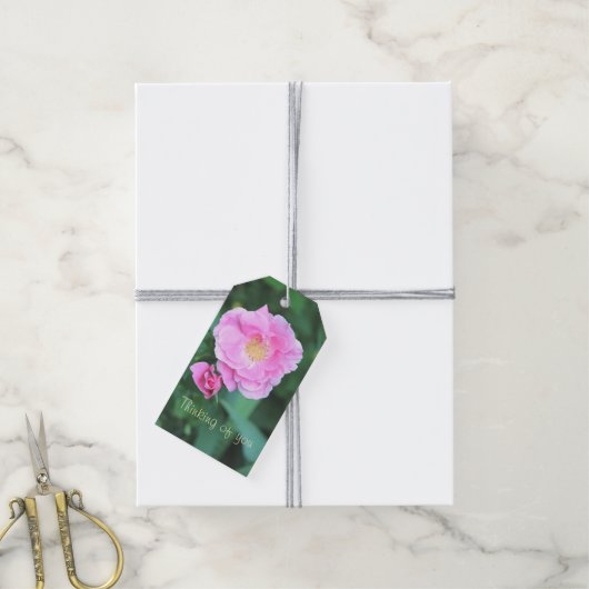  roze bloeiende Rozen Cadeaulabel (Met Touw)