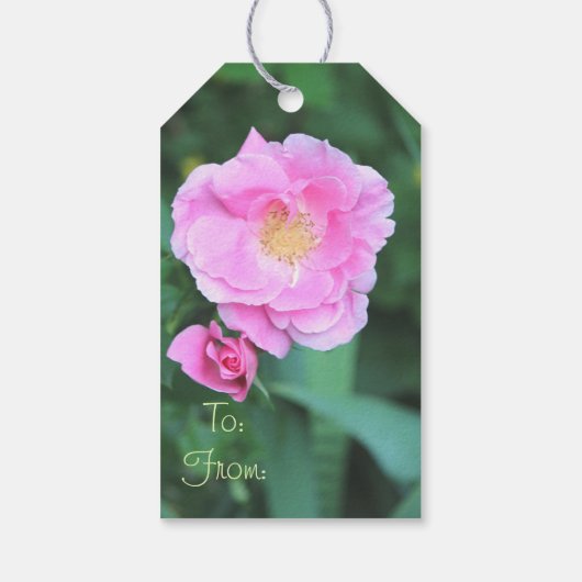  roze bloeiende Rozen Cadeaulabel (Achterkant)