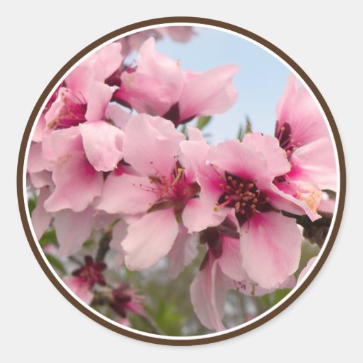 Roze bloeiende tak Stickers (Voorkant)