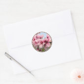 Roze bloeiende tak Stickers (Envelop)