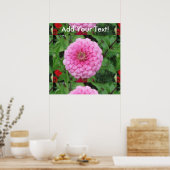 Roze bloeiende zinnia poster (Keuken)