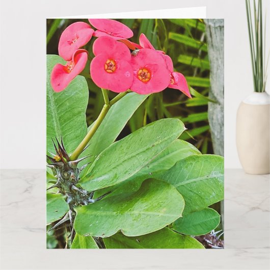 Roze bloem bedankkaart (Voorkant)
