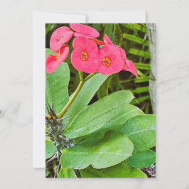Roze bloem bedankkaart