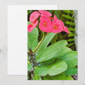 Roze bloem bedankkaart (Voorkant / Achterkant)