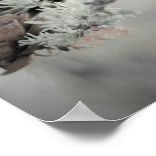 Roze bloem bij Larch Black en White Poster (Hoek)