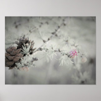 Roze bloem bij Larch Black en White Poster