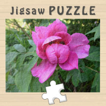 Roze bloem bloeiende esthetische foto -