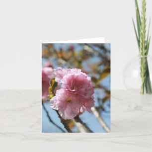 Roze Bloem Bloeit  Feestdagen Kaart