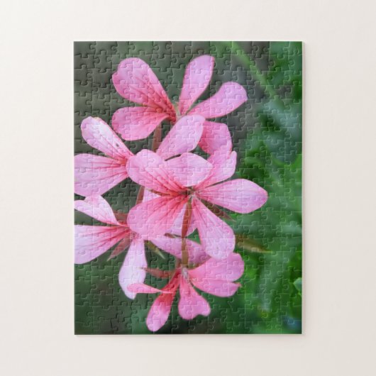 roze, bloem, bloem, tuin, zomer, bloem, natur legpuzzel (Verticaal)