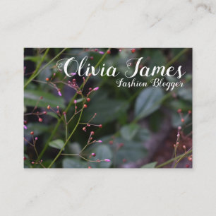  roze bloem bloesems Natuur van de tuin Visitekaartje