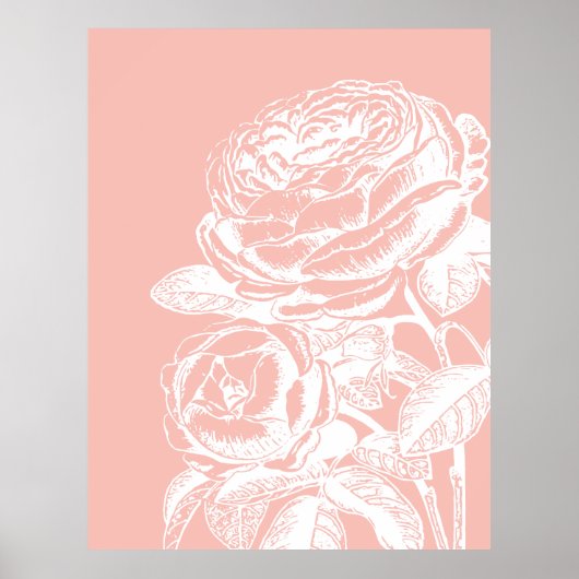  roze bloem  botanisch poster (Voorkant)
