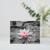 Roze bloem briefkaart (Staand voorkant)