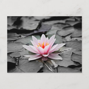 Roze bloem briefkaart