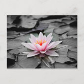 Roze bloem briefkaart (Voorkant)