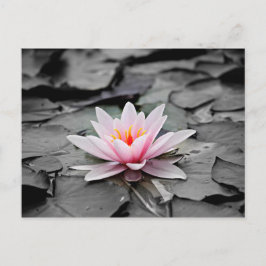 Roze bloem briefkaart