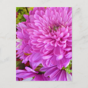 Roze bloem briefkaart
