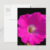 roze bloem briefkaart (Voorkant / Achterkant)